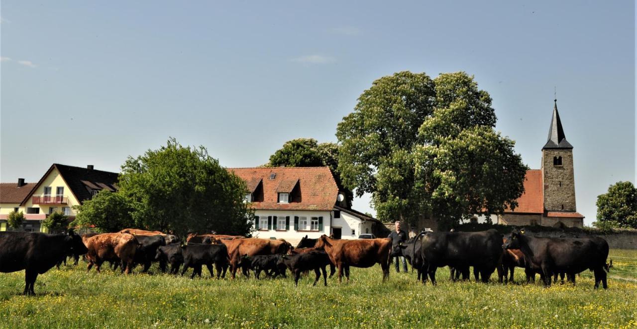 Schaefer'S Ferienhof Michaelsberg Gundelsheim  Extérieur photo