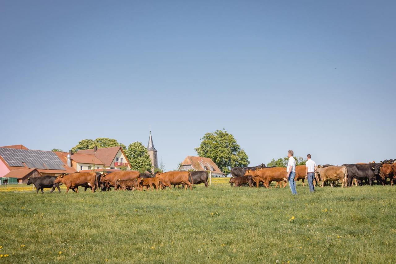 Schaefer'S Ferienhof Michaelsberg Gundelsheim  Extérieur photo